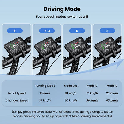 W9 10-Zoll-Offroad-Elektroroller 1000 W Hintermotor 48 V 14 Ah Batterie 45 km/h 35–45 km Reichweite Doppelscheibenbremsen mit APP E-Scooter